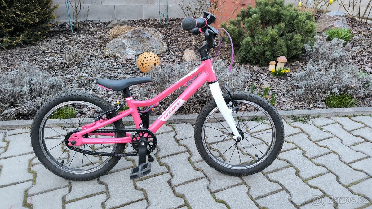 Kolo Arcore Sparrow 16 - 2