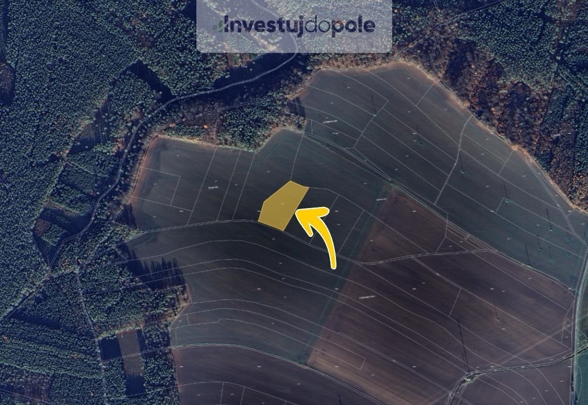 Prodej pole 8 228 m², Bítouchov, ev.č. 2025-03-27-2 - 2