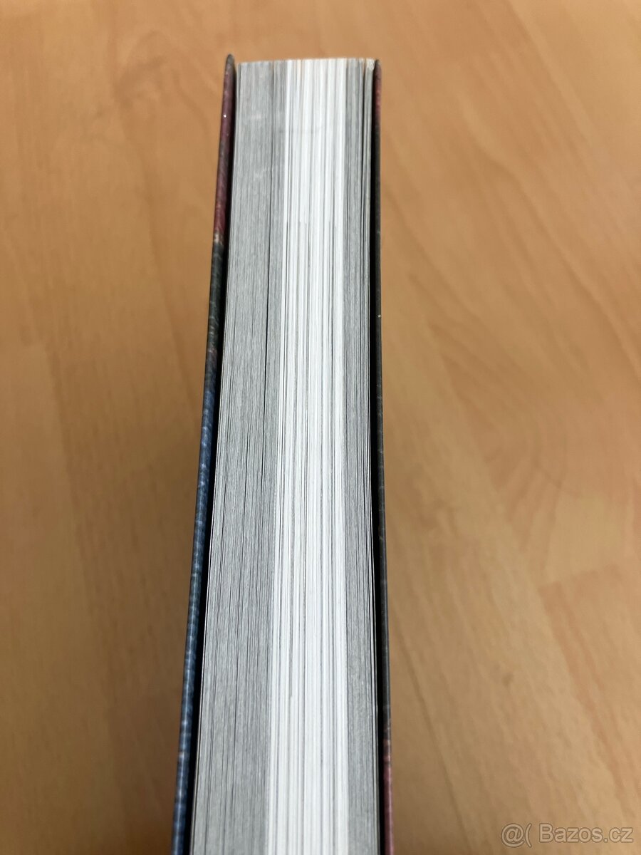 Tváře Expresionismu (1905-1925) - 2