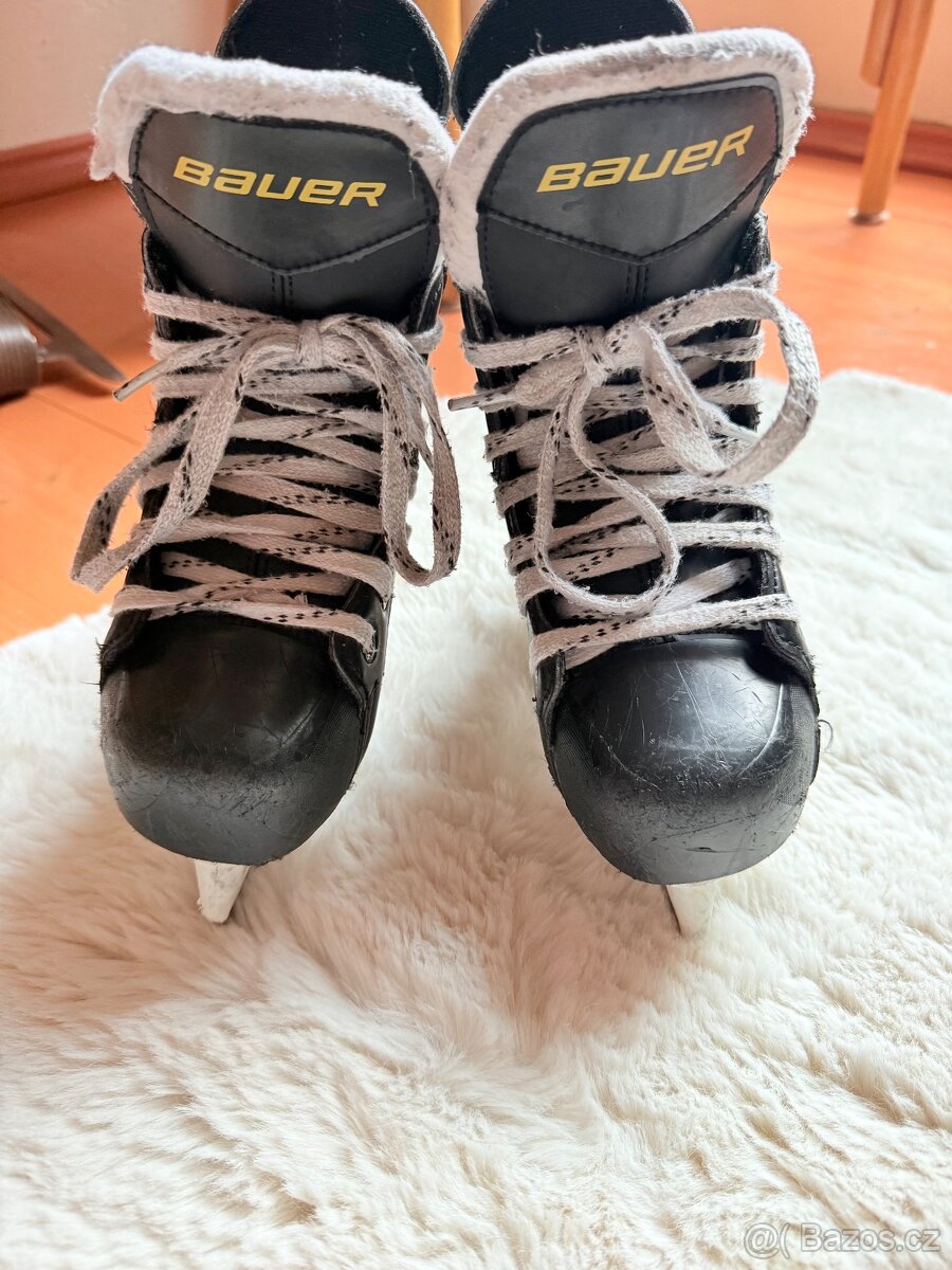 Brusle Bauer vel. 31. - 2
