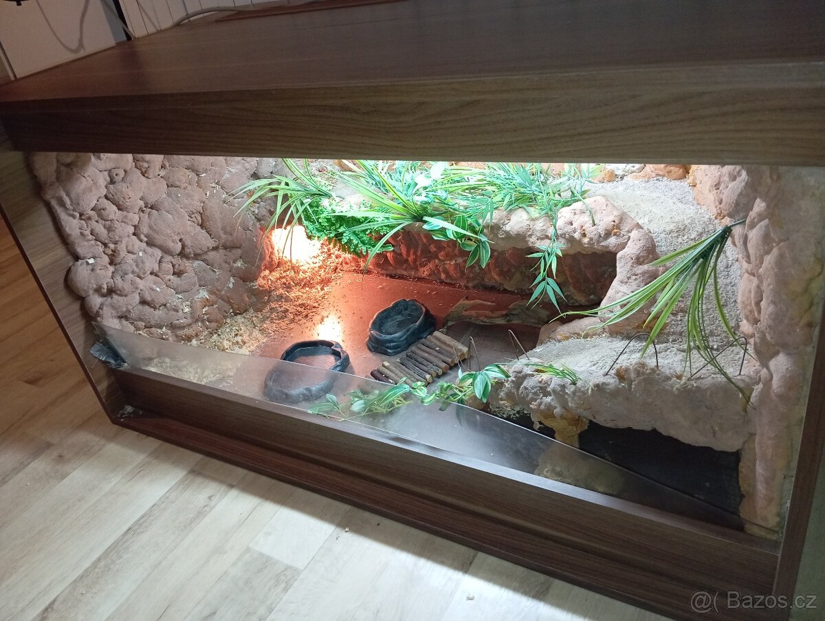 Terárium - 2