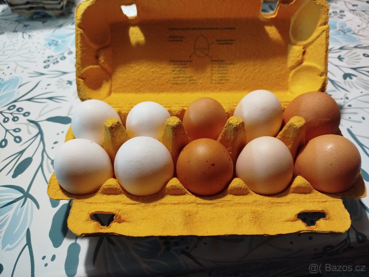 Prodám domácí vajíčka - 2