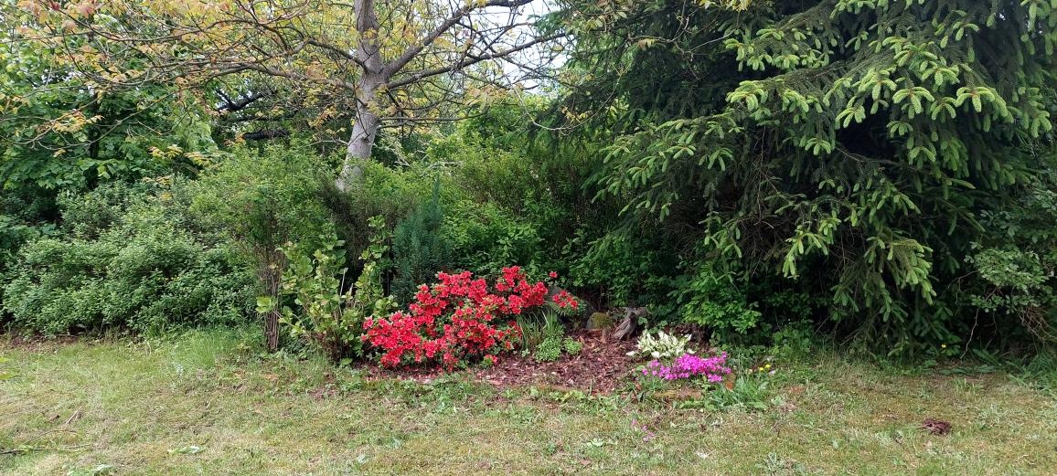 chatka v zahradkařské kolonii - 2