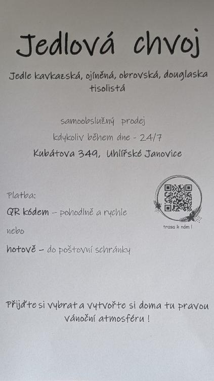 Jedlová chvoj / chvojí / klest - 2