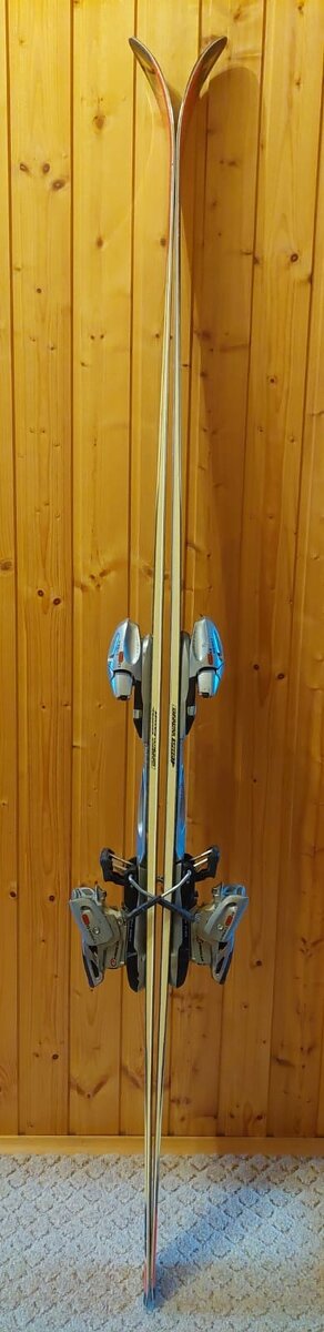 Prodám starší sjezdové lyže zn. DYNASTAR - 2