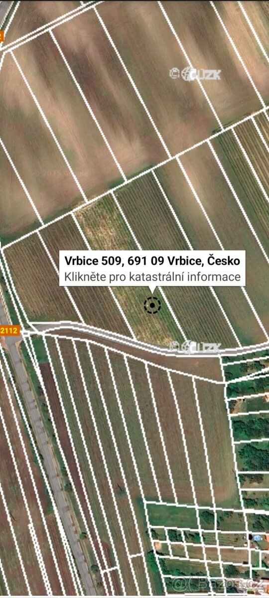 Pronájem vinice - 2