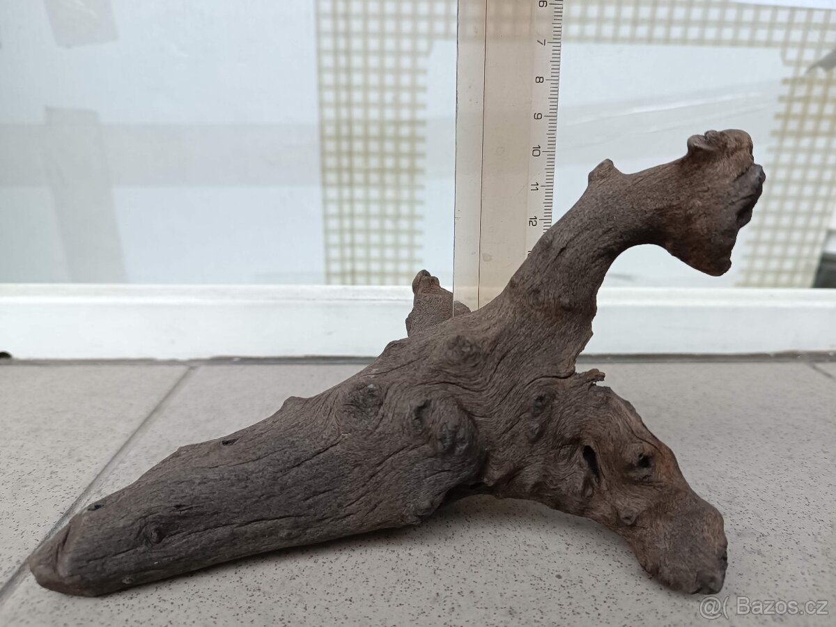 akvarijní kořen - 2