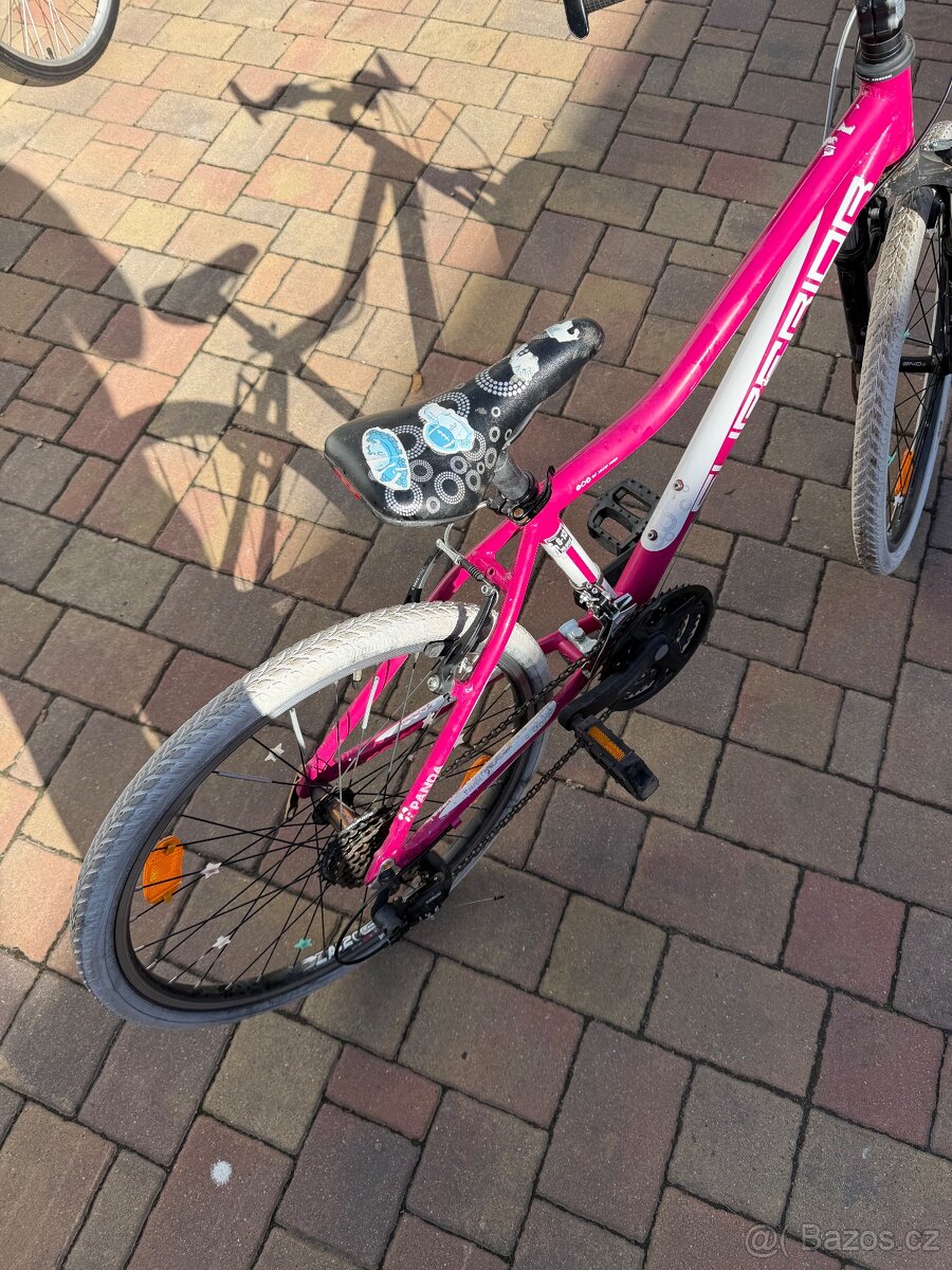 Kolo Superior 24” - 2