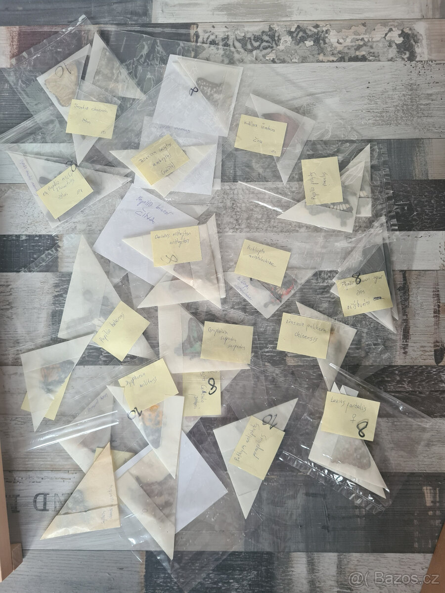 Entomologické vybavení pro začínající entomology - 2