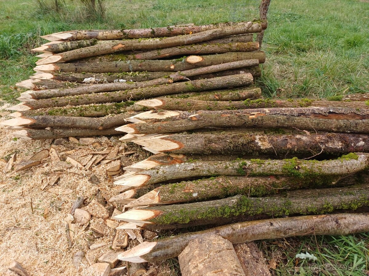 Kůly se špičkou - dub, 2 m - 2