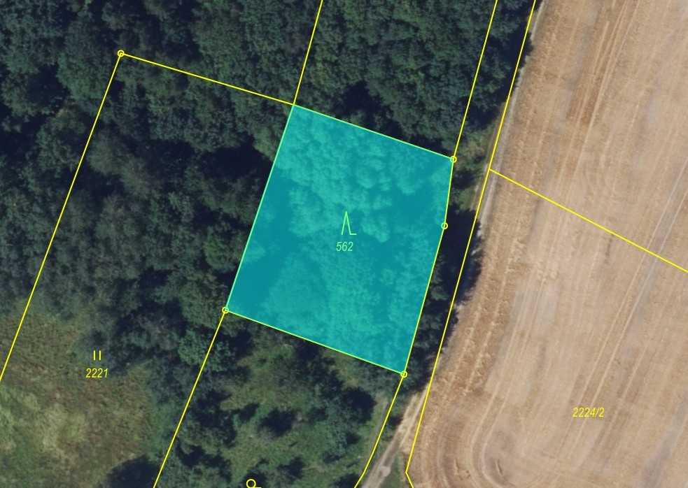 Blok lesa v obci Brodek u Konice – 4 676 m2 - 2