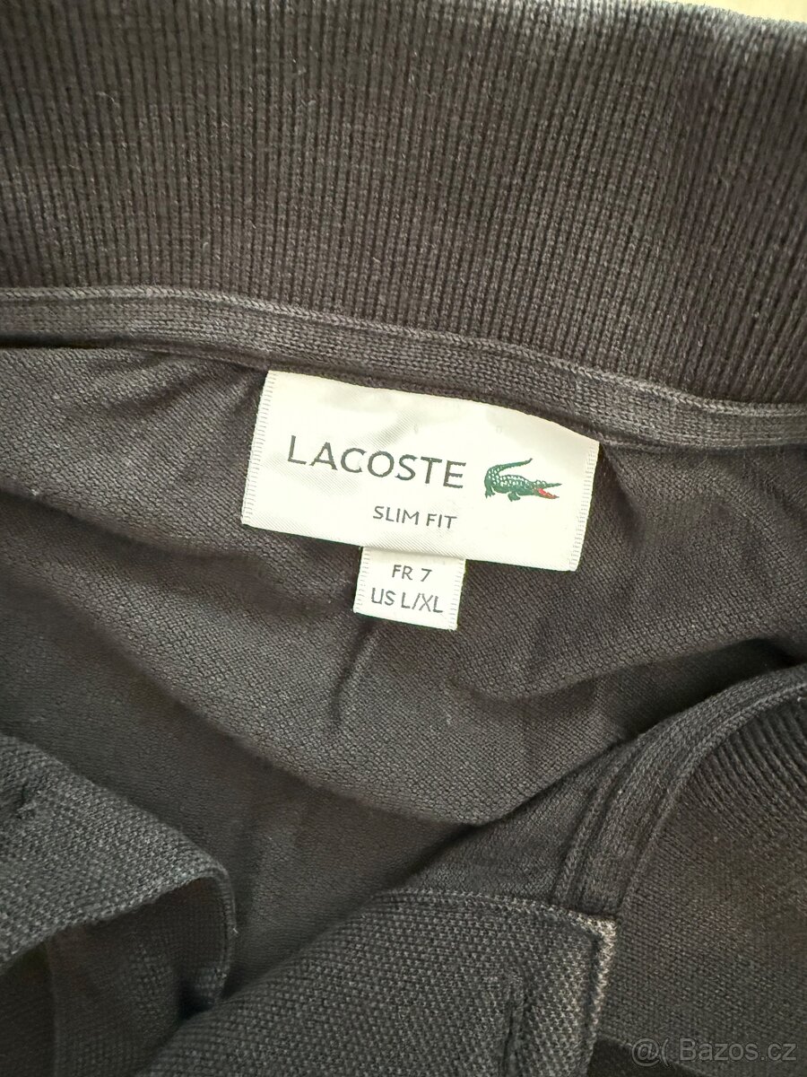 Polotriko Lacoste - 2