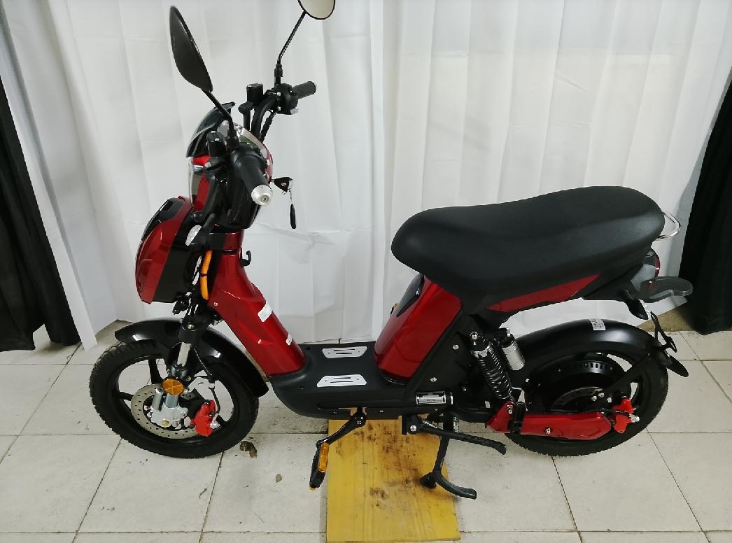 E babeta Hecht - 2