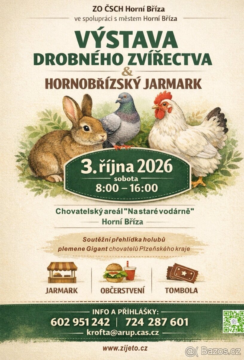 VÝSTAVA - HORNÍ BŘÍZA - 2
