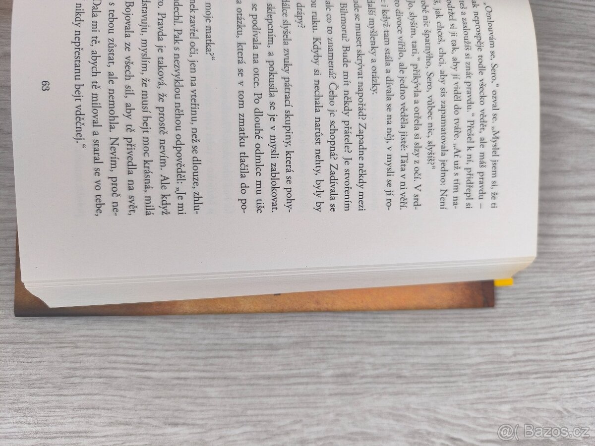 Serafina a černý plášť - 2