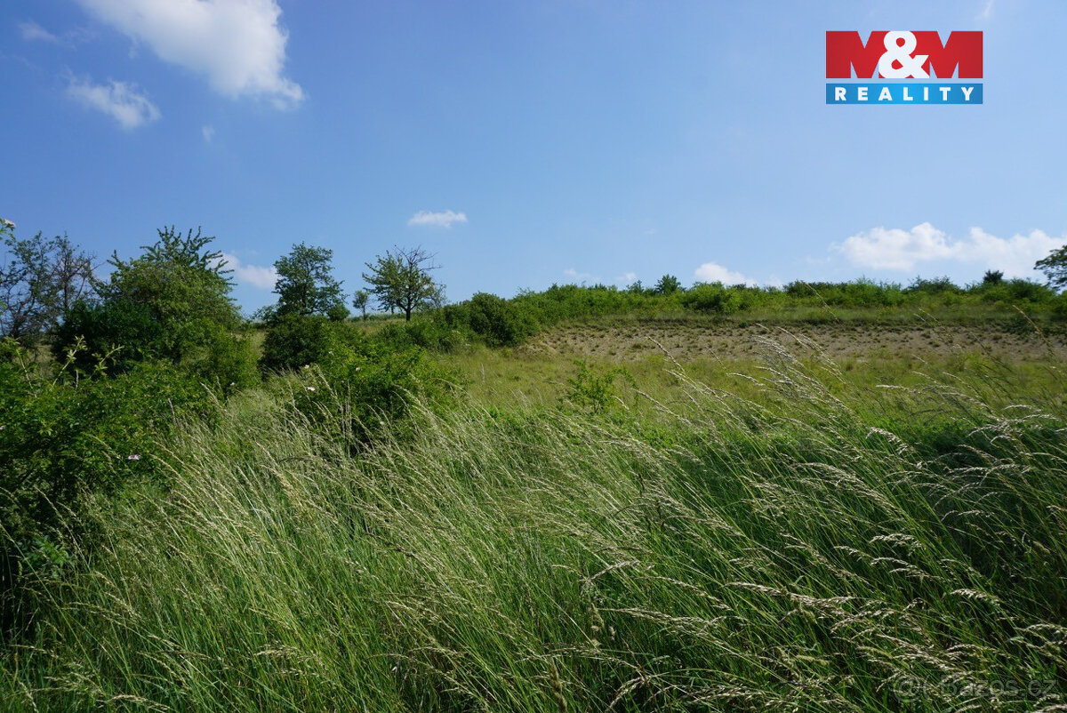 Prodej pozemku k bydlení, 5749 m², Sobětuchy - 2