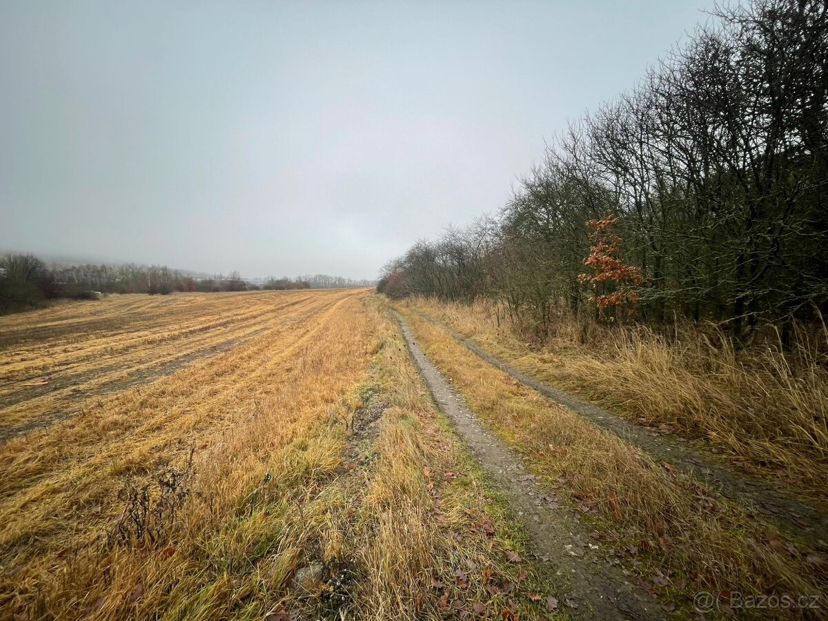 Prodám 2600 M2 v Cerhovicích - 2