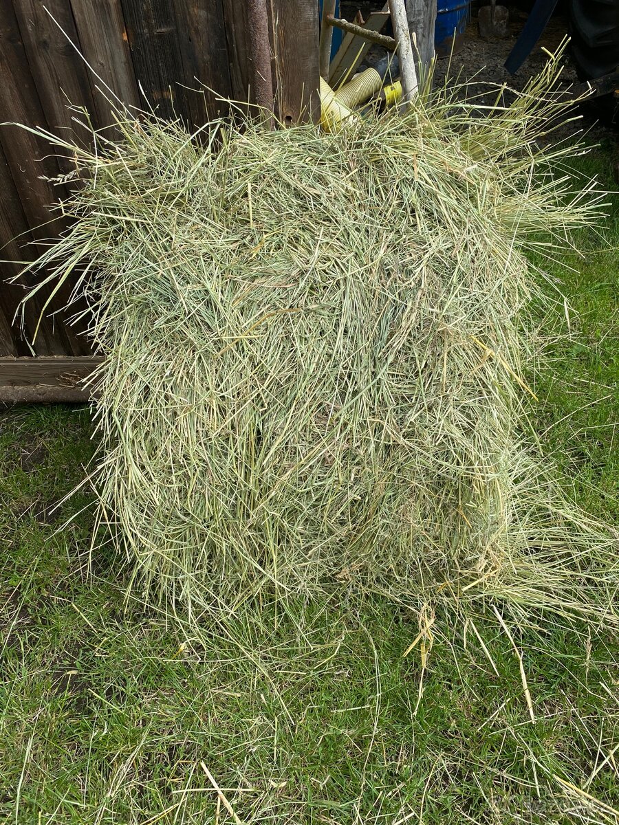 Seno malé hranaté balíky - 2