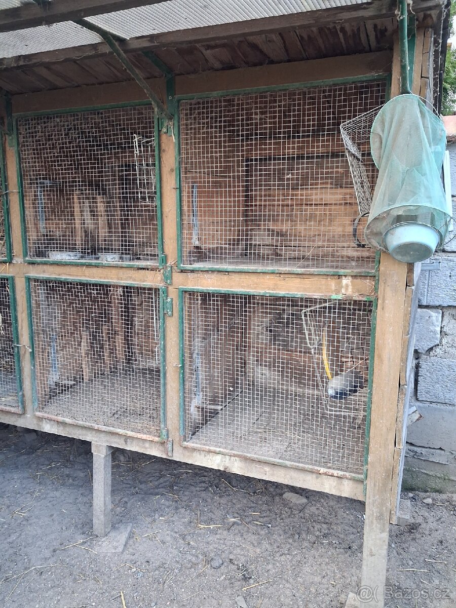 Kralikana - 2