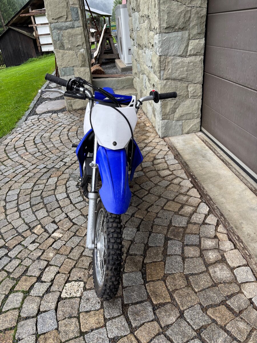 Yamaha TTR 110