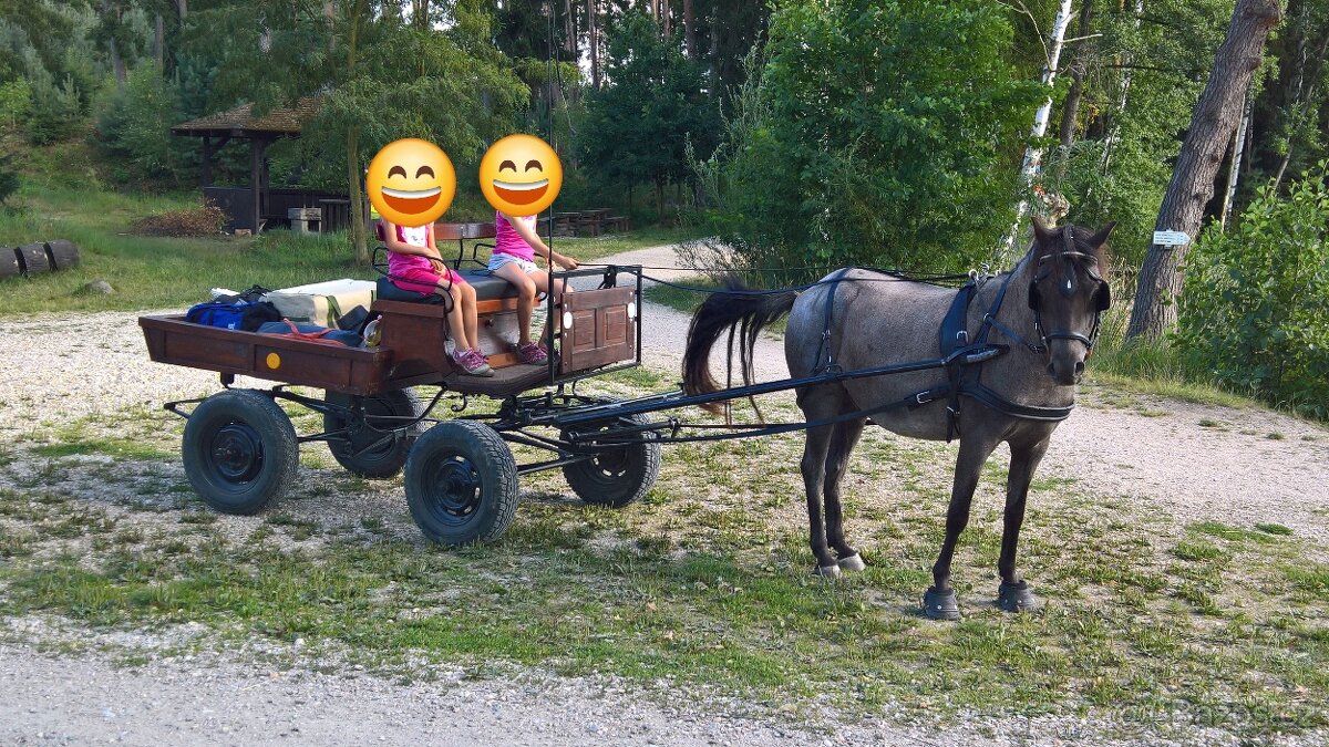 Bryčka za koně - 2