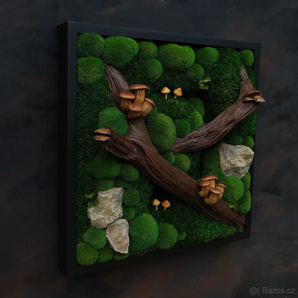 Mechový obraz / obraz ze stabilizovaného mechu - 2