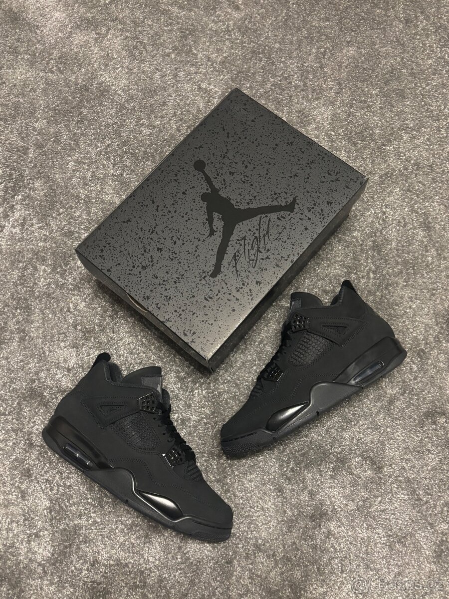 Air Jordan 4 - 2