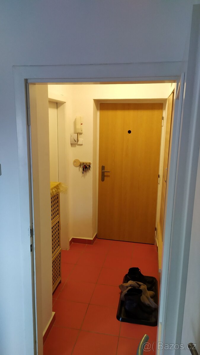 Pronájem bytu 2+1 - 2