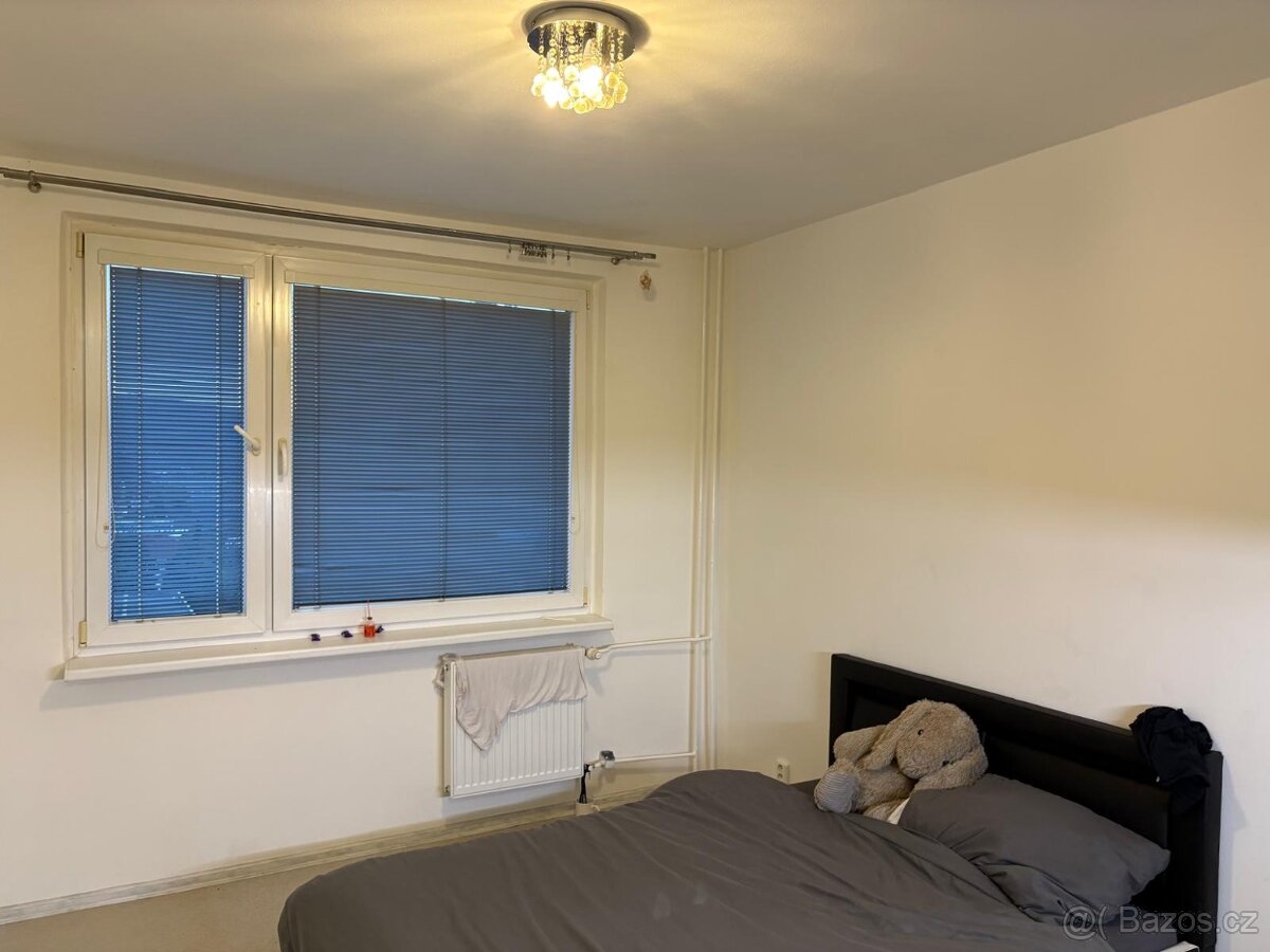 Garsonka 21m2 Usti SNP - 2