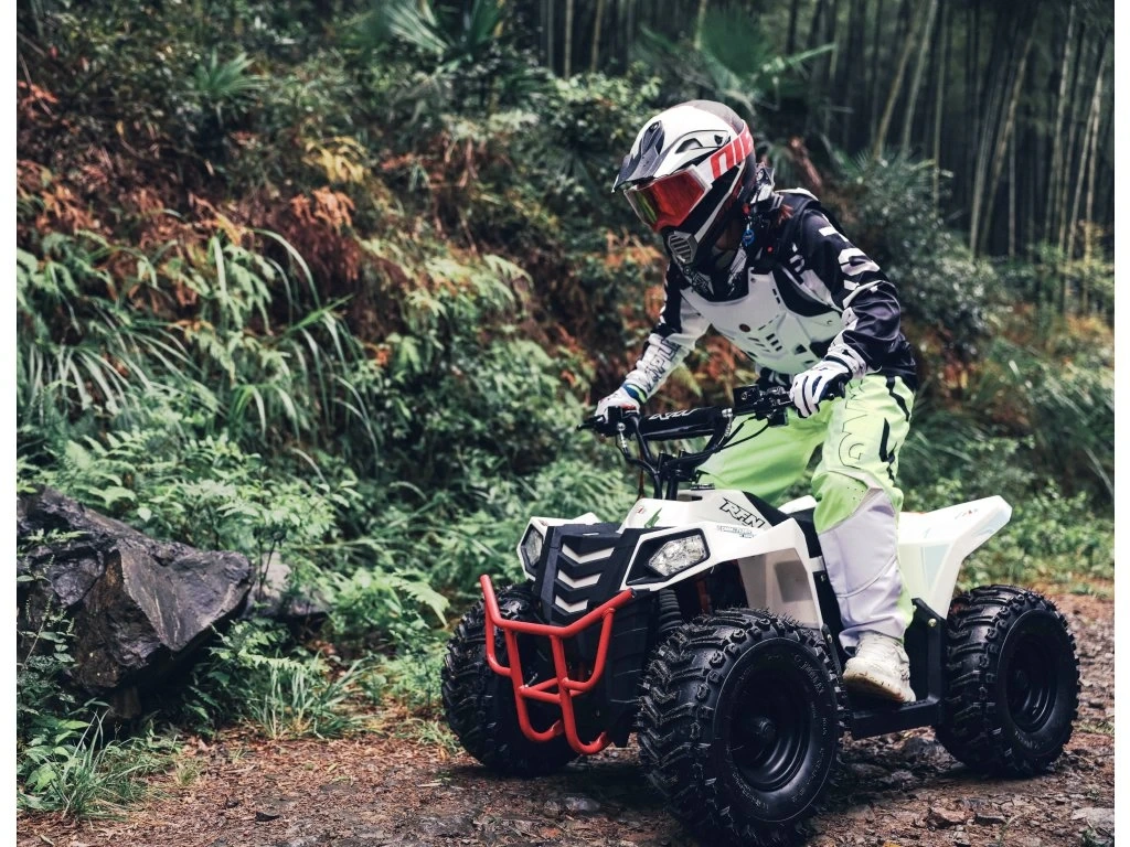 Dětská čtyřkolka 4 RIDER