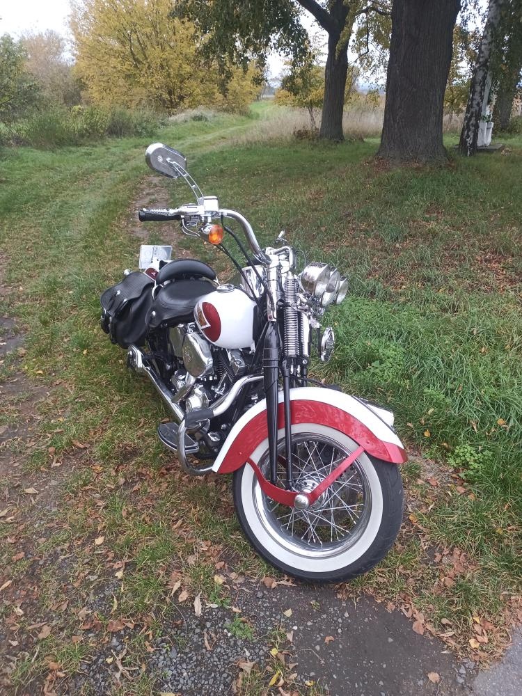 Prodám Harley Davidson Springer - 2