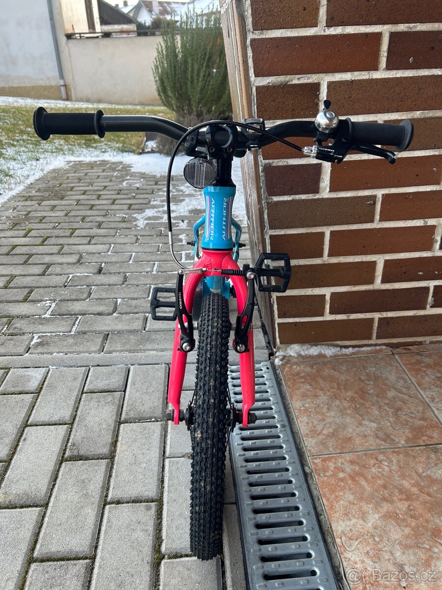 Author record 16" - 2