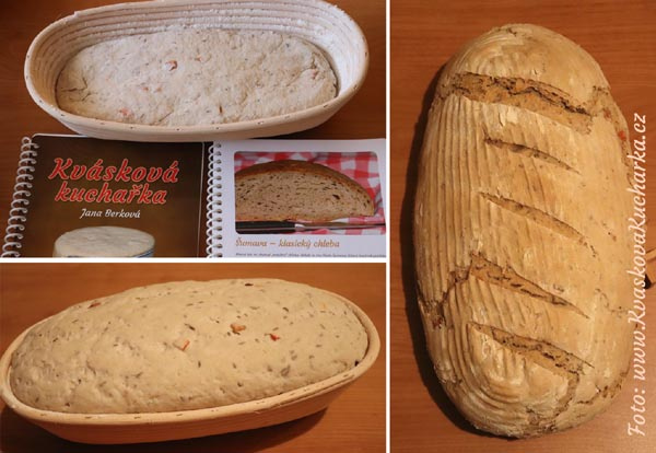 Kvásková kuchařka a kvásek - 2