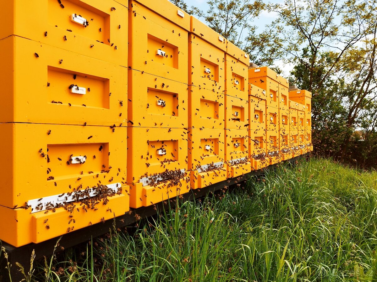 Med přímo od včelaře - 2