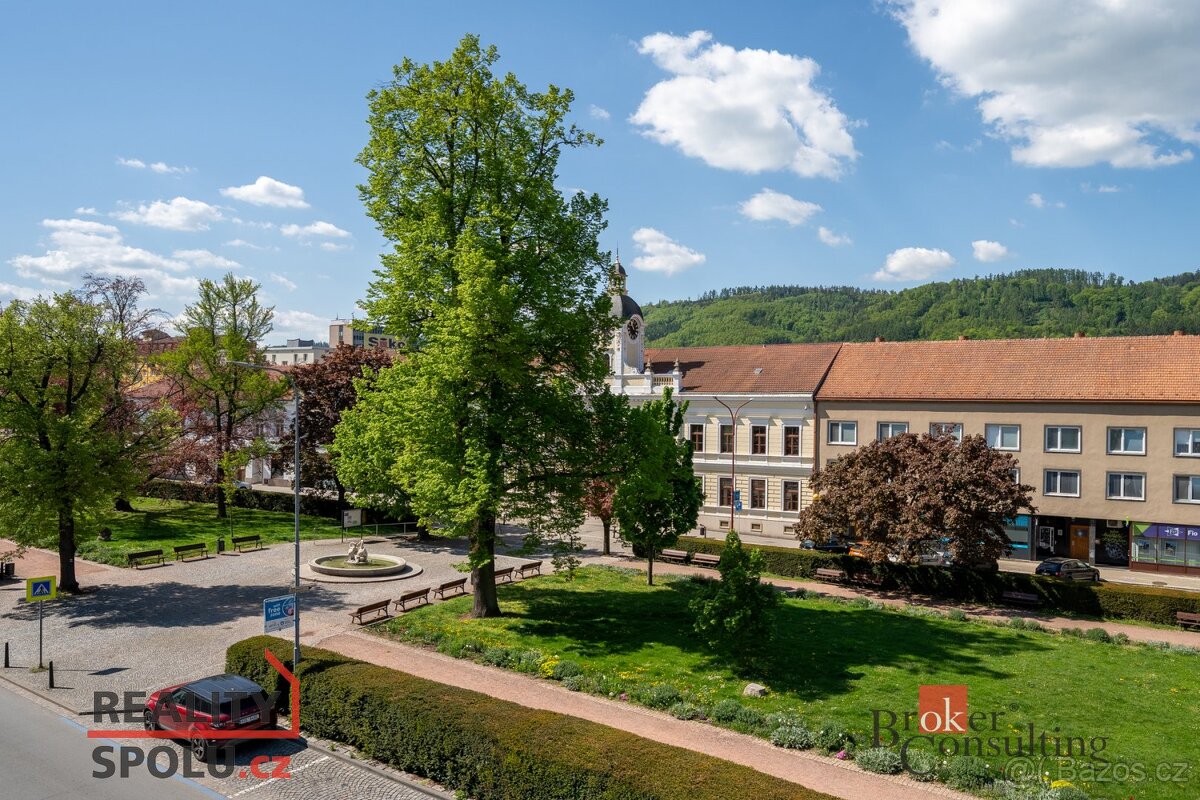 Prodej, domy/rodinný, 844.8 m2, nám. Svobody 11/11, 67801 Bl - 2