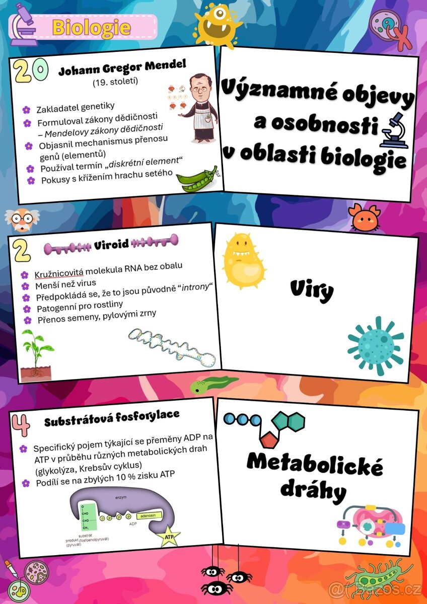 VÝUKOVÉ KARTIČKY BIOLOGIE - 2