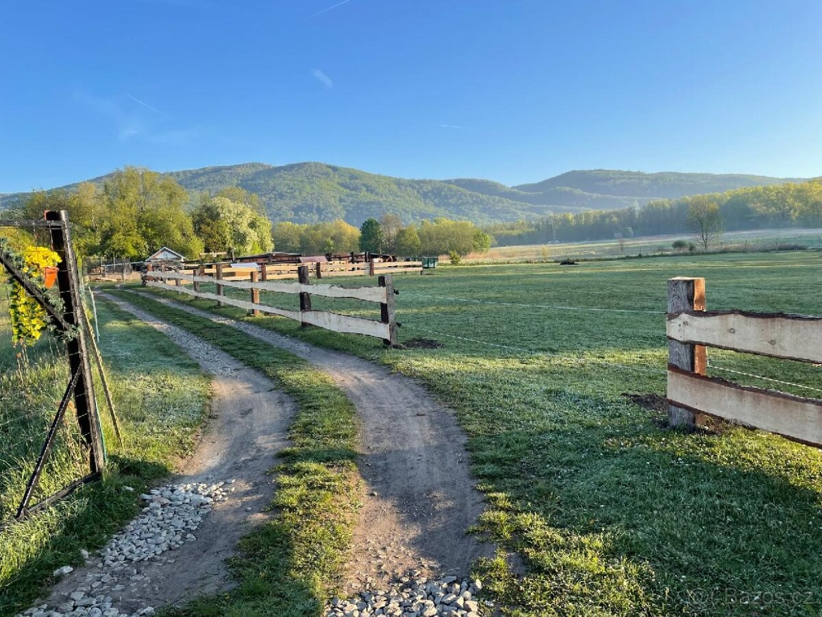 Pastevní ustájení 🌿🐴 - 2