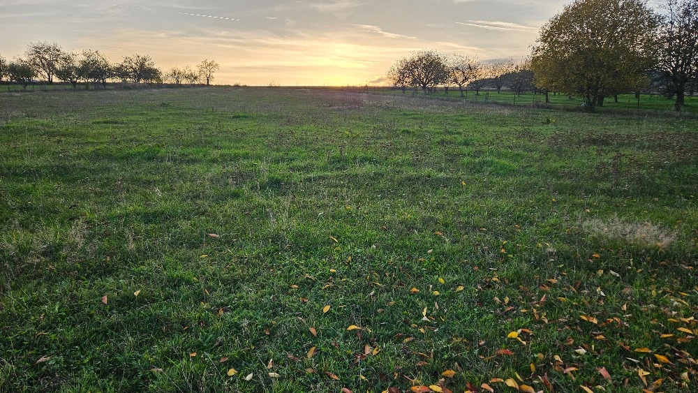 prodám pozemek k bydlení a podnikání - Vilice - Zátiší - 2