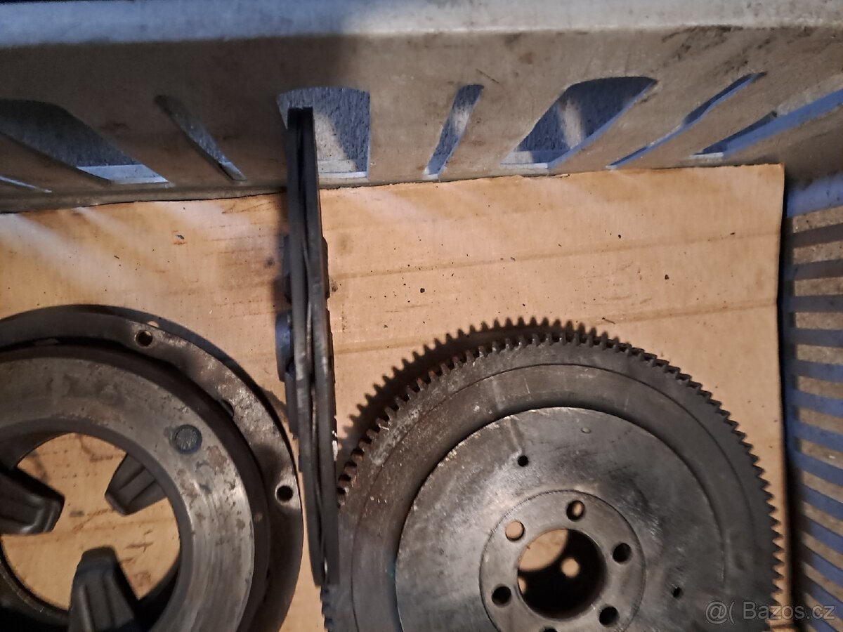 Felicia octavia spartak veterán - 2