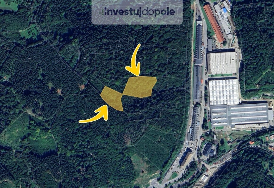 Prodej lesa 11 175 m², Vsetín, ev.č. 2025-06-30-8 - 2