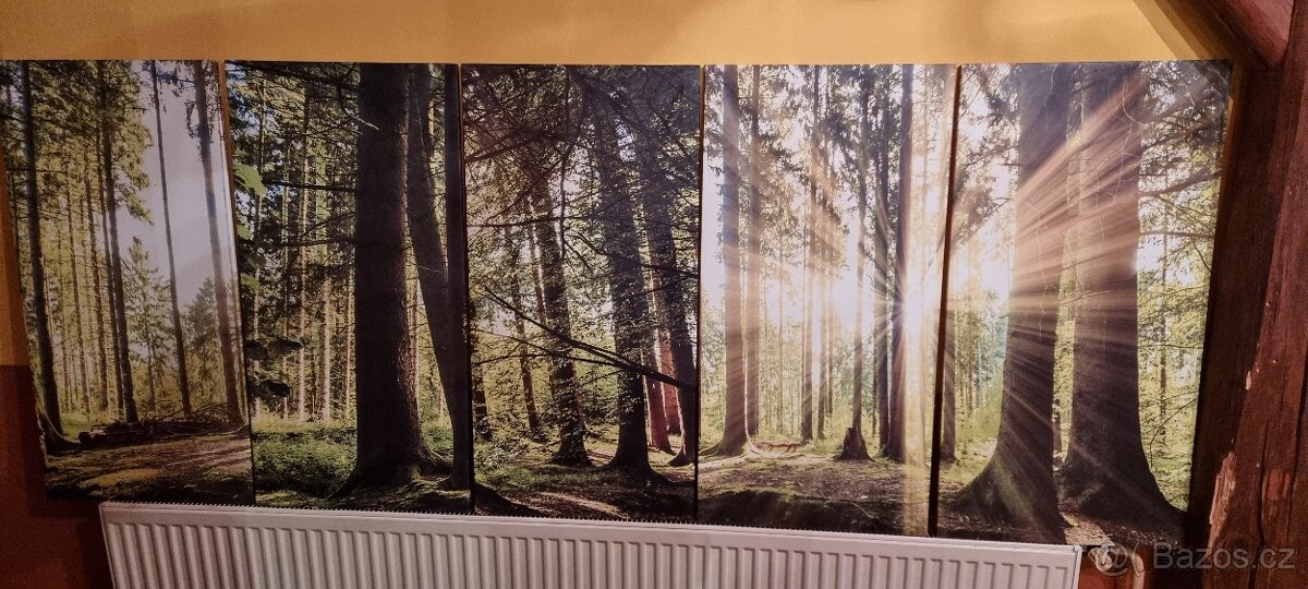 OBRAZY - různé druhy - 2