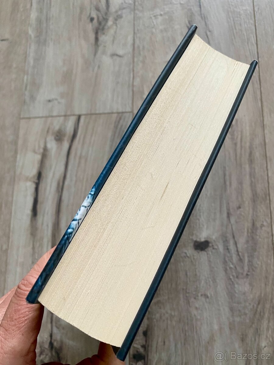 Padesát odstínů šedi E L James - 2