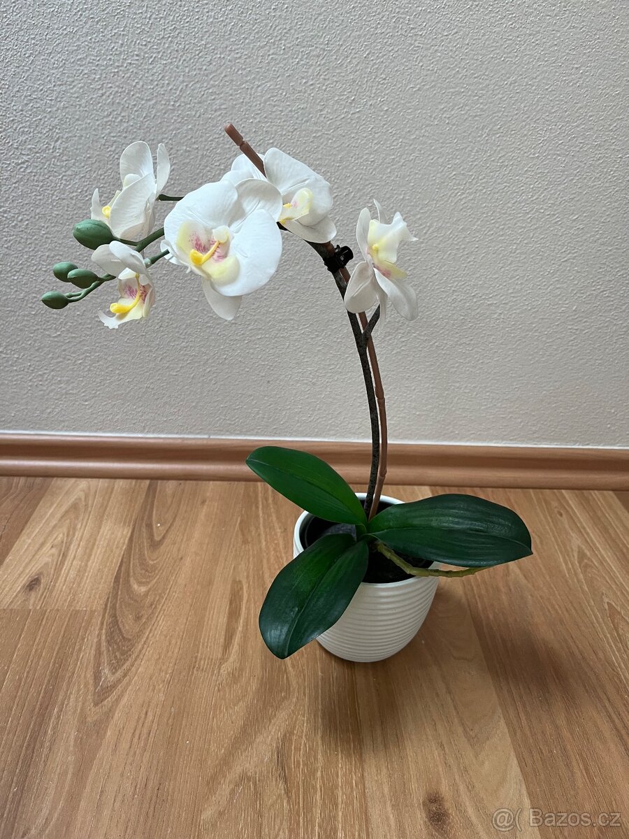 Umělá květina a koflík - 2