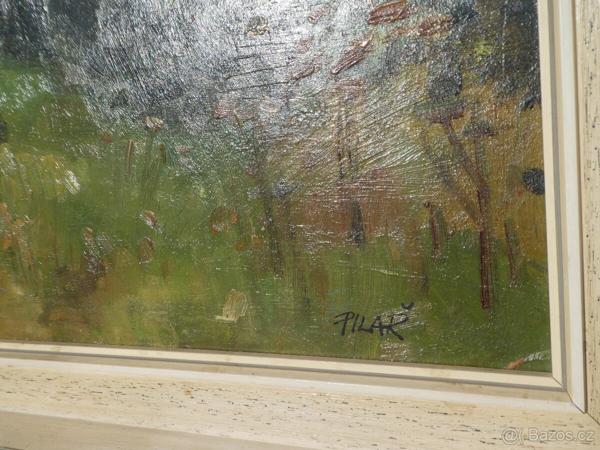 Obraz krajina Pilař - 2