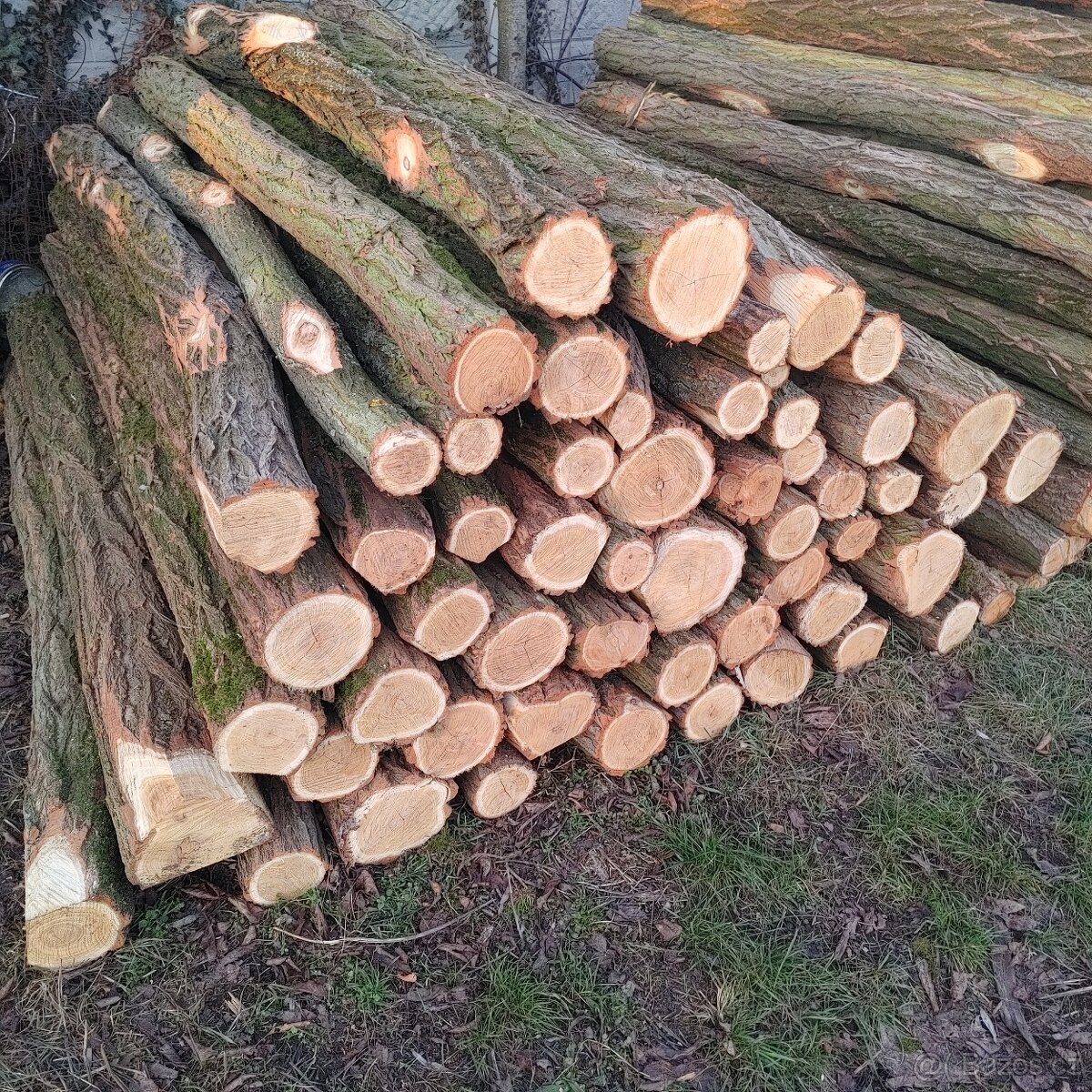 Akátové kůly - sloupky - 2