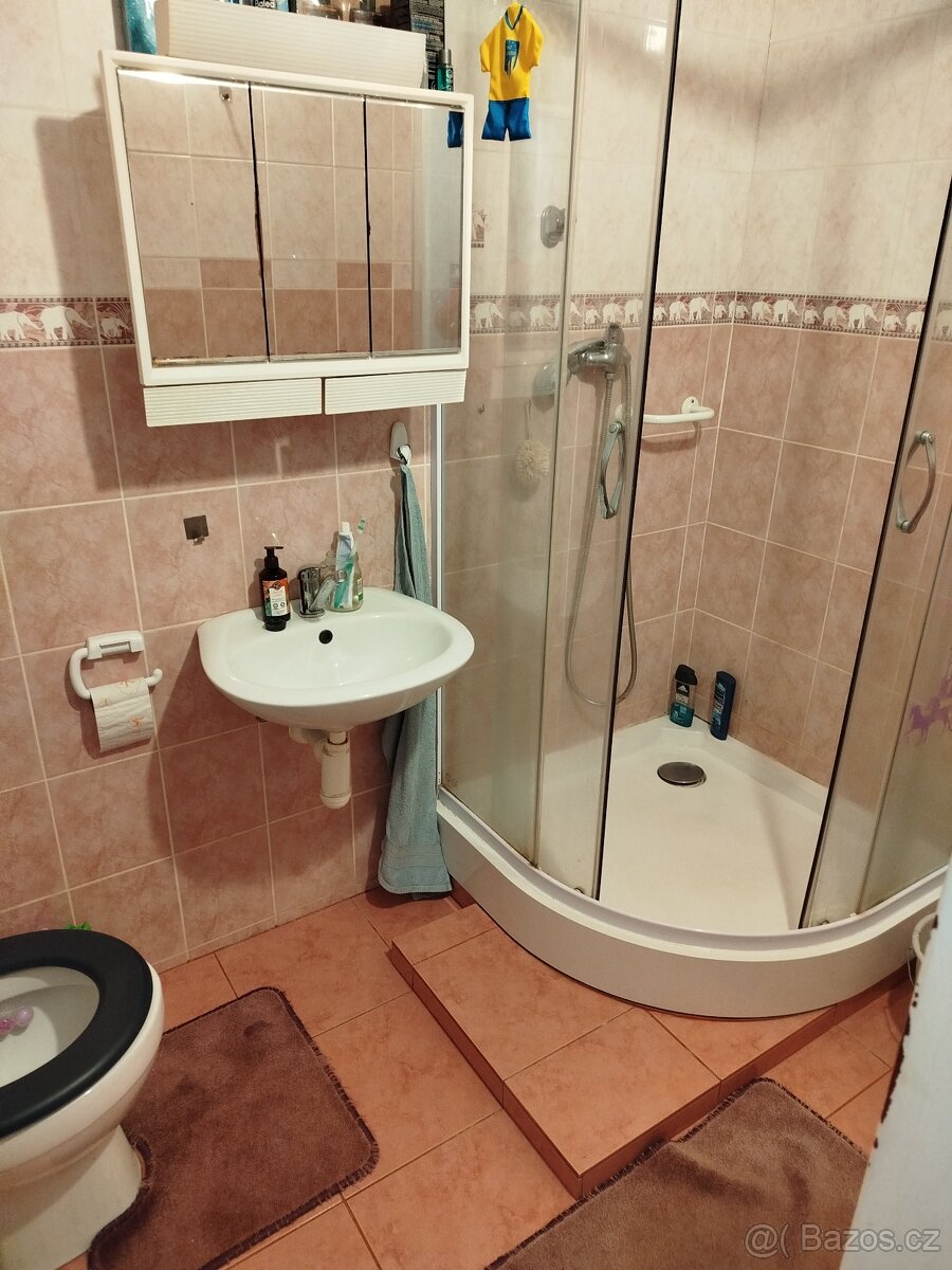 Podnájem bytu 1+1 - 2