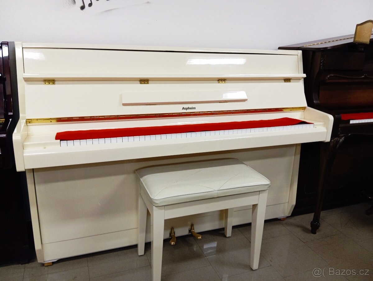 Aspheim (Hyundai)/lesk/-Dovoz i na Štědrý den 24.12. - 2