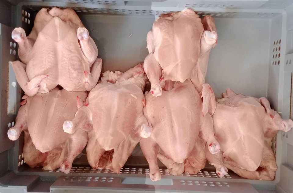 Kuře chlazené, vejce - 2