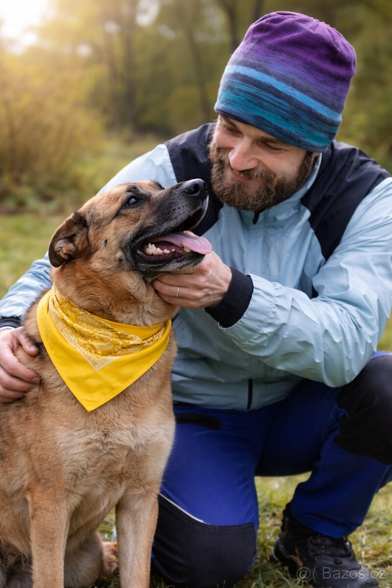 Meggy hledá domov - 2