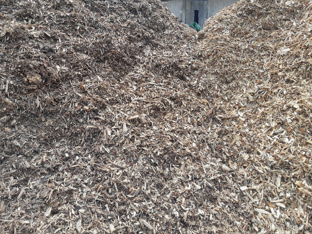 Štepka listnatá - 2